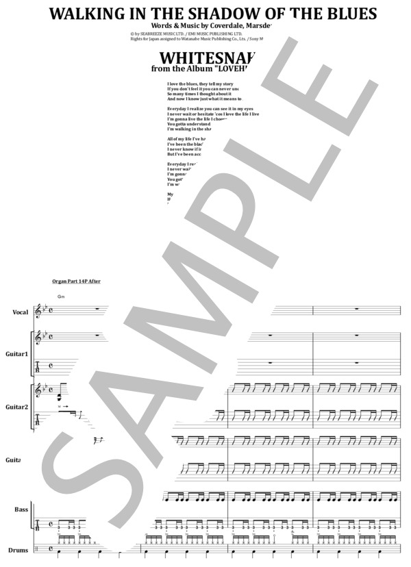 楽譜】WHITESNAKE / WALKING IN THE SHADOW OF THE BLUES バンド