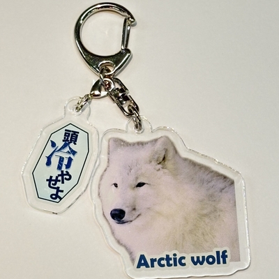 キーホルダー / ストラップ | 那須どうぶつ王国ネット