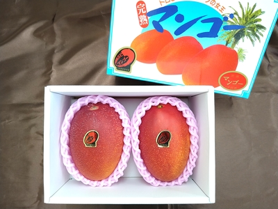 マンゴー | いっちゃが広場