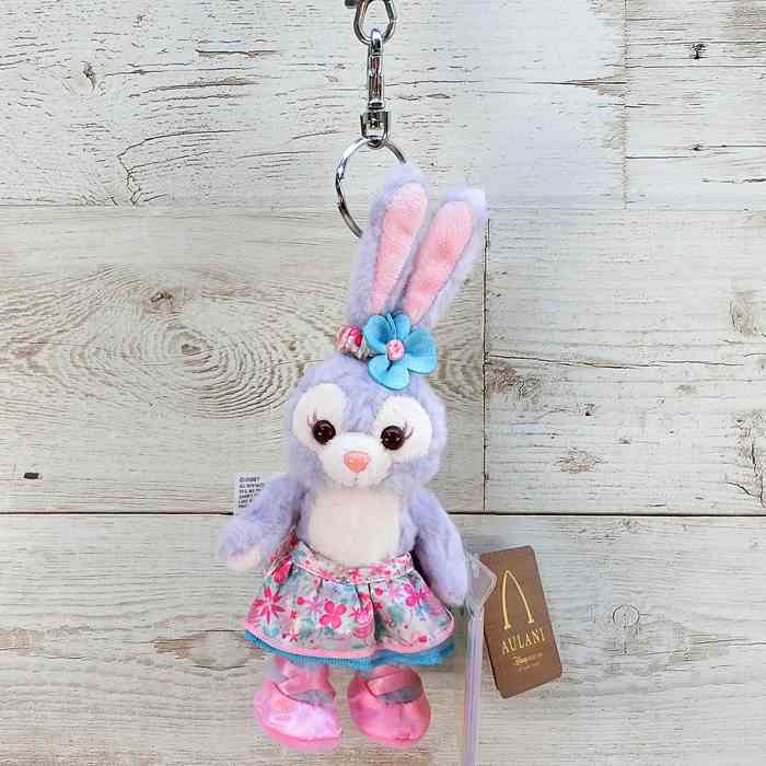 超最新入荷！ハワイ直輸入！ アウラニ ディズニーリゾート ディズニー