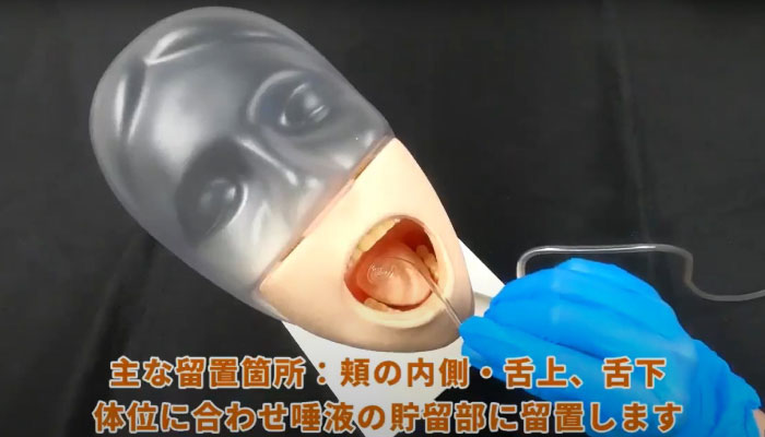 楽天市場】メラ唾液持続吸引チューブ（スネイルチューブ） （10本/箱