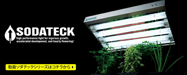 楽天市場】水耕栽培 植物育成灯 ソダテック LED ST 450W Sodateck