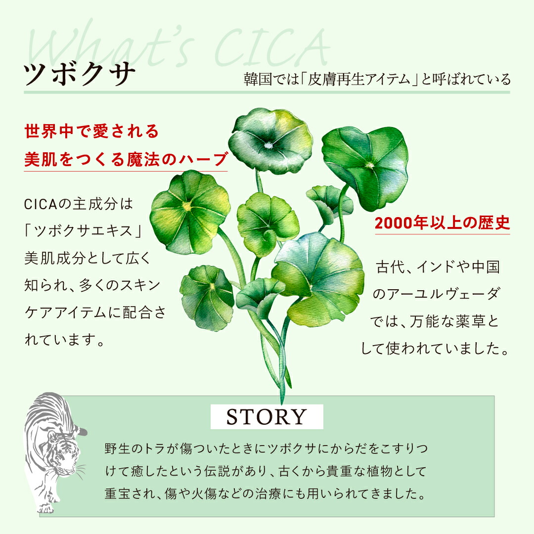 楽天市場】【送料無料】シカ&アロエ化粧水 シカ 500ml 敏感肌 全身