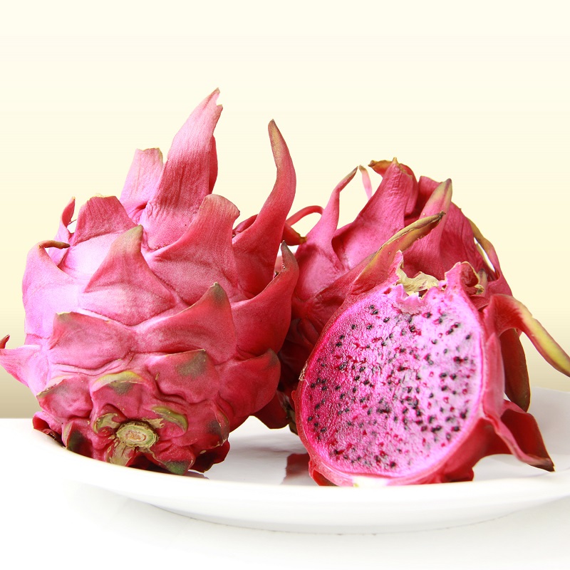 楽天市場】【ふるさと納税】【2026年先行予約】【期間限定】＜選べる