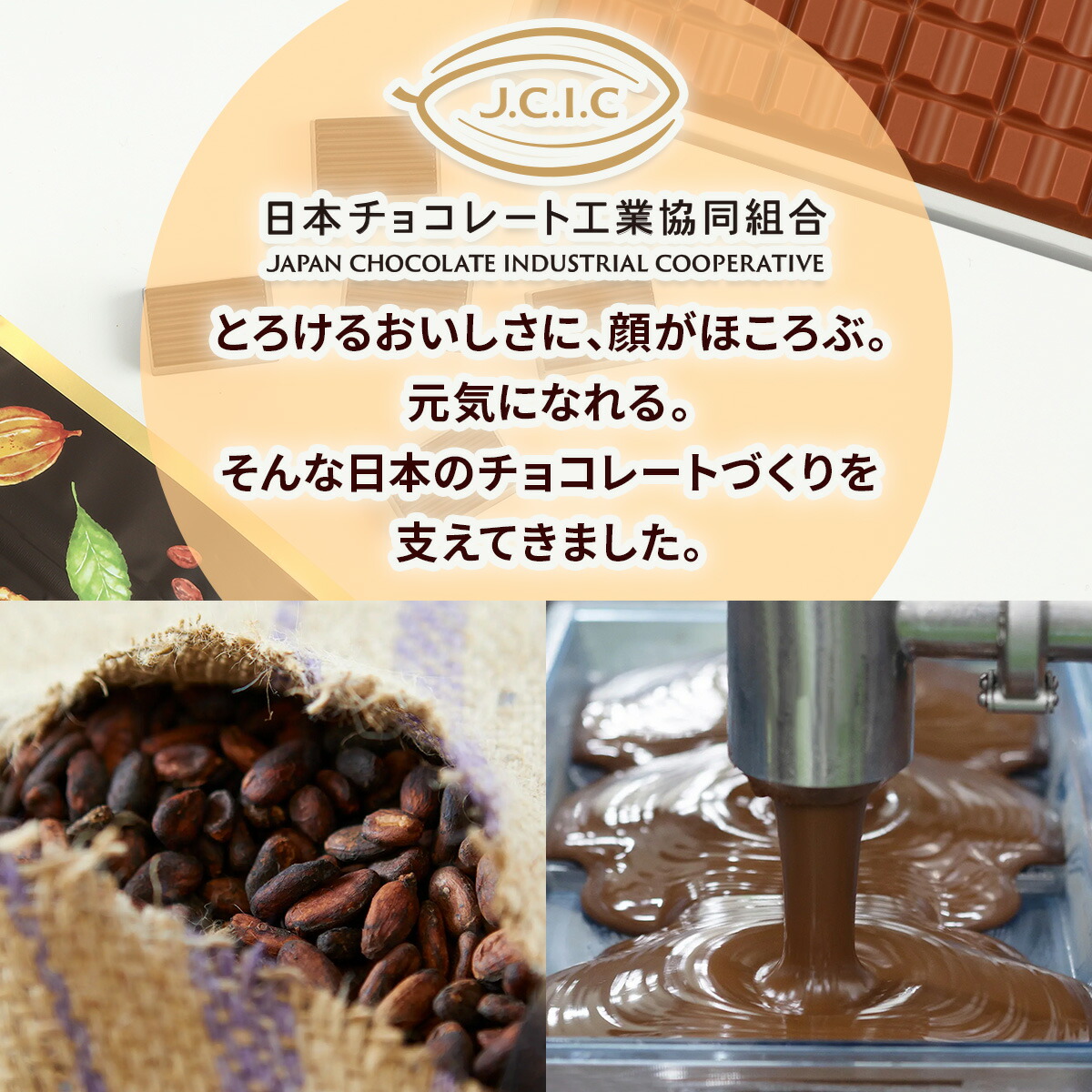 楽天市場】【ふるさと納税】CHOCOTTOじゃないCHOCOLATE (ちょこっと