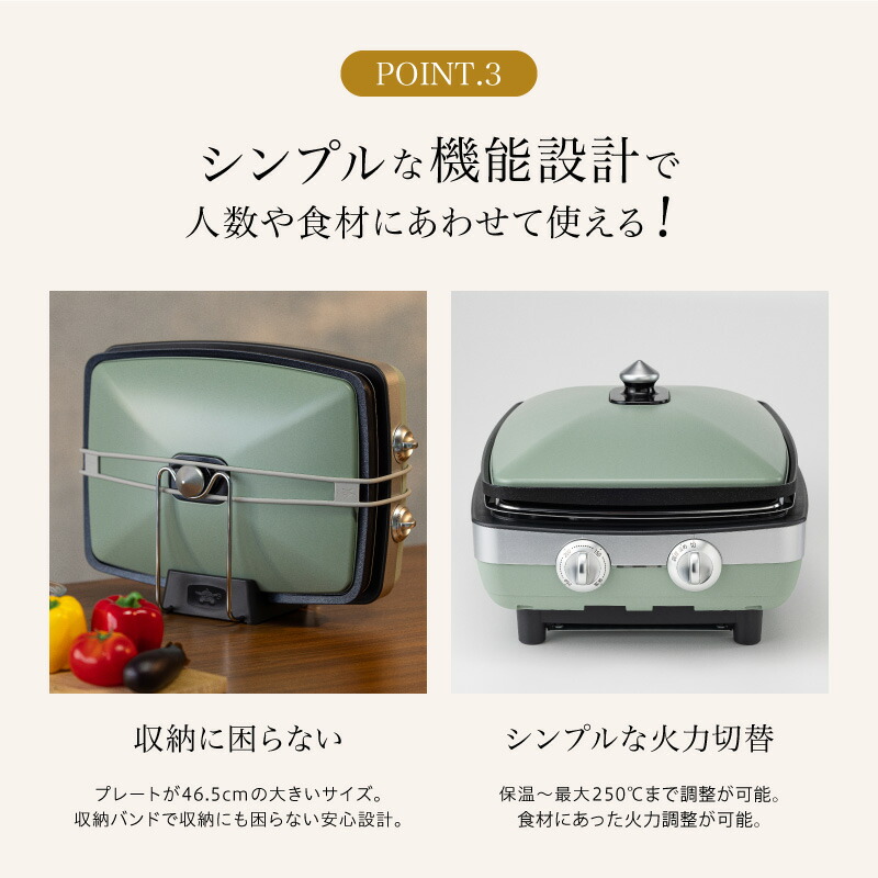 楽天市場】【ふるさと納税】アラジン 訳あり 特別寄附額 グリーン 緑