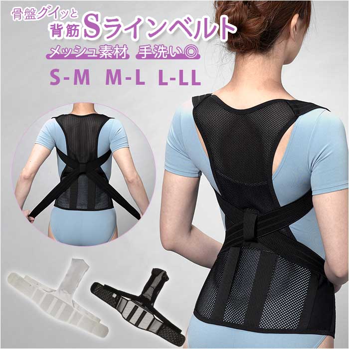 骨盤固定 背筋矯正 Sラインベルト 通販 背筋 矯正 ベルト 背骨 猫背