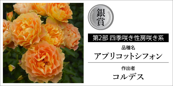 バラの家 公式本店 ロサオリエンティス【バラ苗 専門店】 日本ばら会