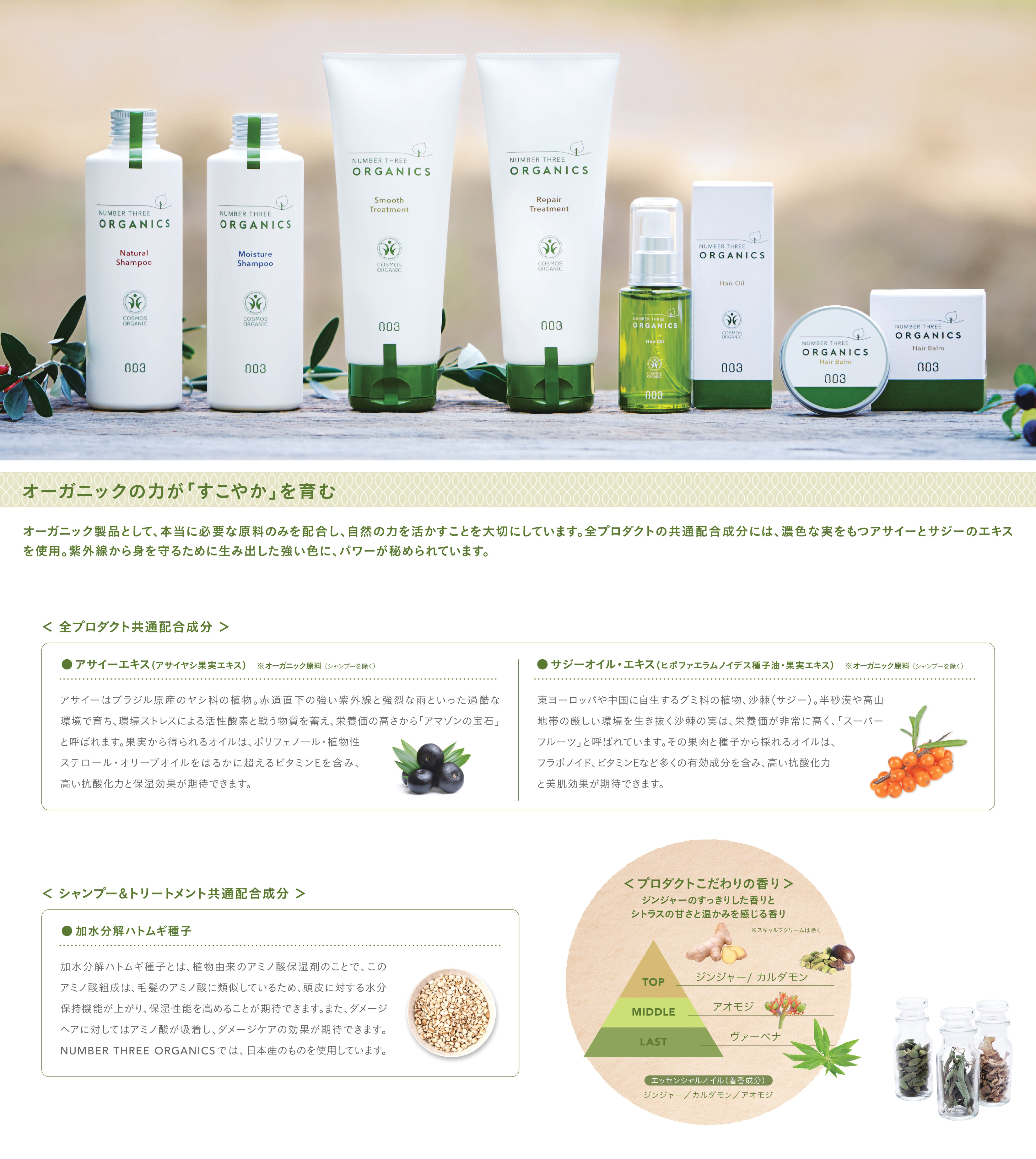 楽天市場】ナンバースリー オーガニクス ナチュラルシャンプー 500ml