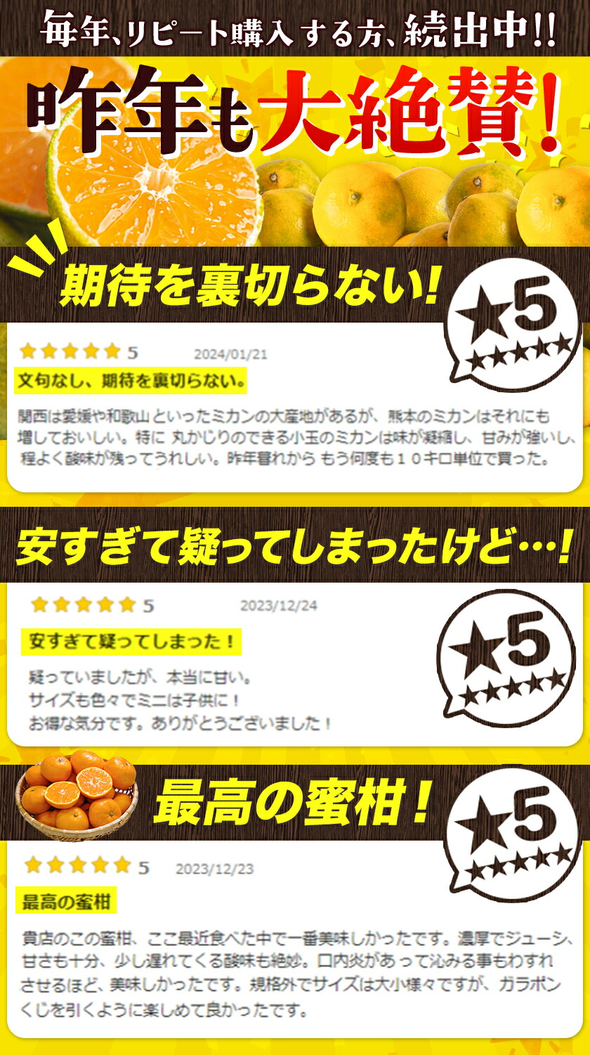訳あり熊本みかん 1.5㎏ 送料無料 熊本 ミカン 果物 柑橘《7-14営業日