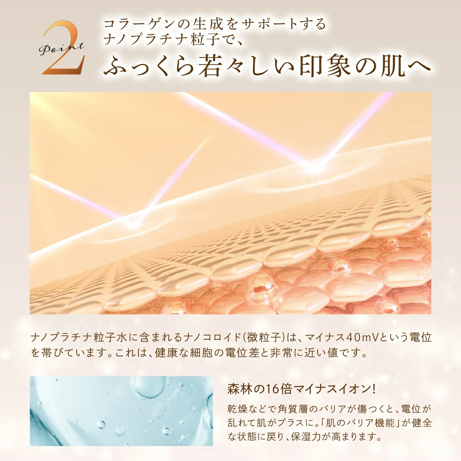 楽天市場】公式 15%OFFクーポン 【 KYOGOKU ヒト幹細胞導入美容液