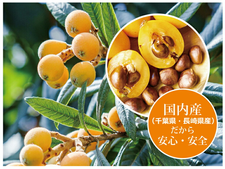 びわまる 徳用(1000粒入り) 【ティ-・エス・アイ】※送料無料（一部地域