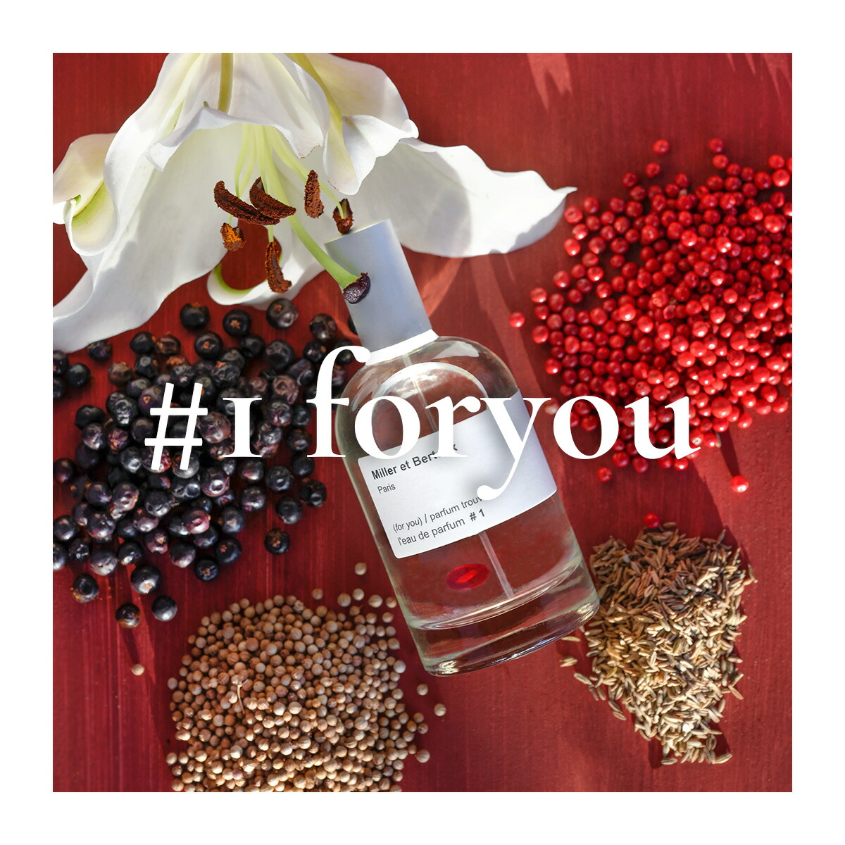 楽天市場】Miller et Bertaux 【オードパルファン香水100ml】 a quiet