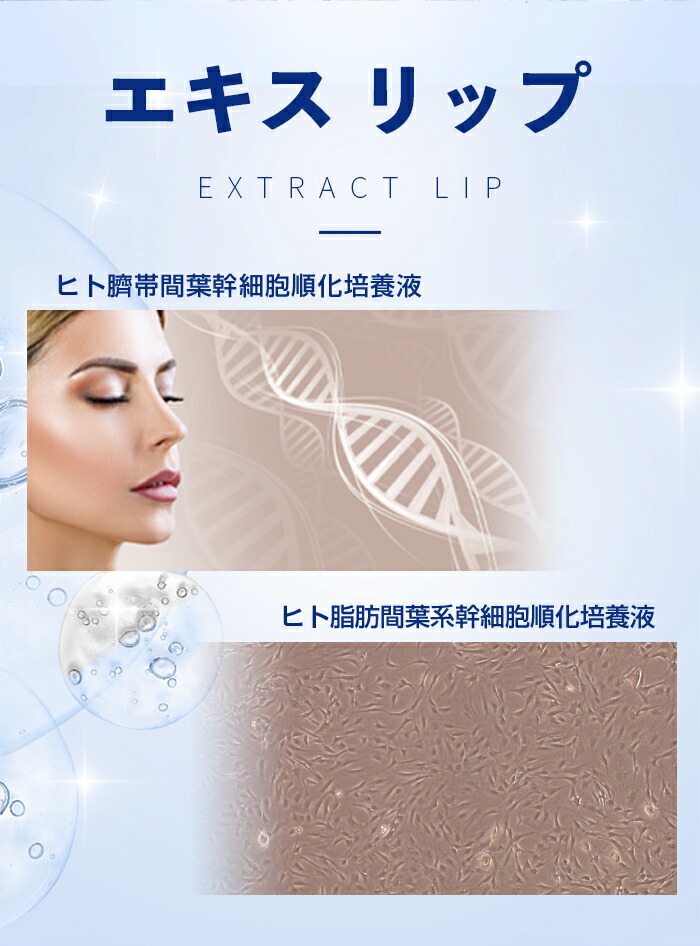 楽天市場】DDS MATRIXエキス リップ用 口紅 マトリックスエキス唇専用