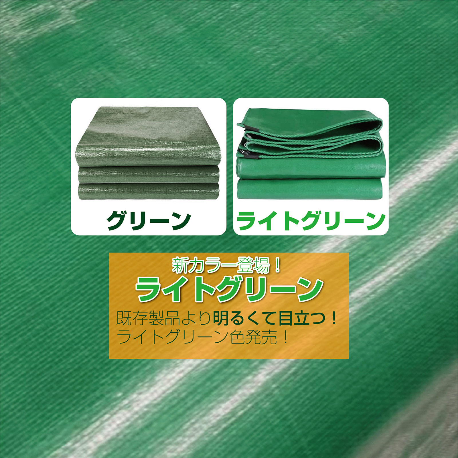 楽天市場】【☆3/1 P11倍&1,000円OFFcp!】グリーンシート od ブルー