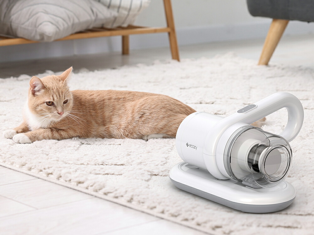 楽天市場】【楽天1位】布団クリーナー コードレス 1.2kg超軽量 18Kpa