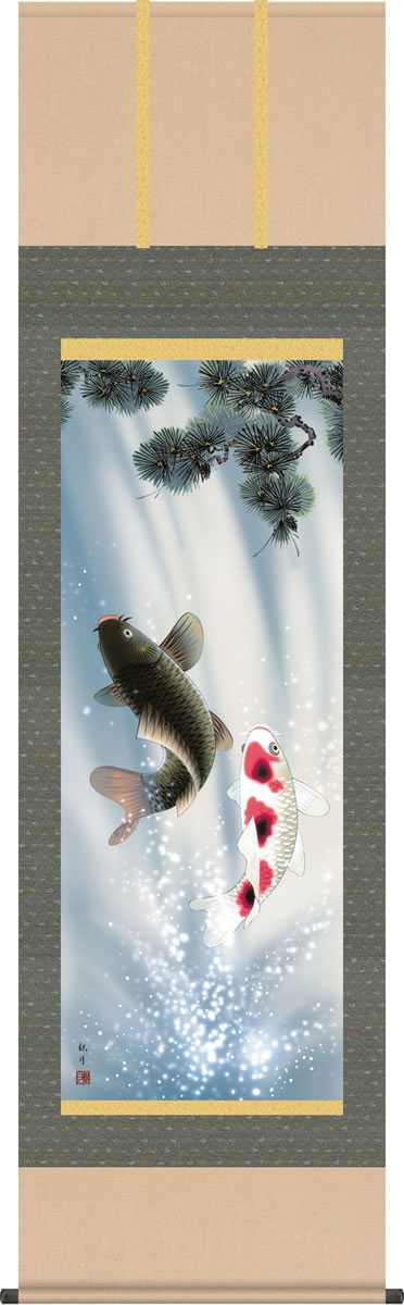 端午の節句画掛軸-夫婦滝昇鯉/森山観月(尺五)床の間 和室 高級 掛け軸