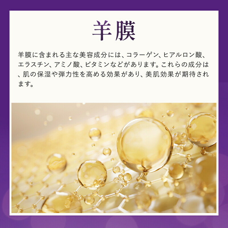 楽天市場】セール50%OFF【公式】プレミアム エクソソーム サプリ (40粒