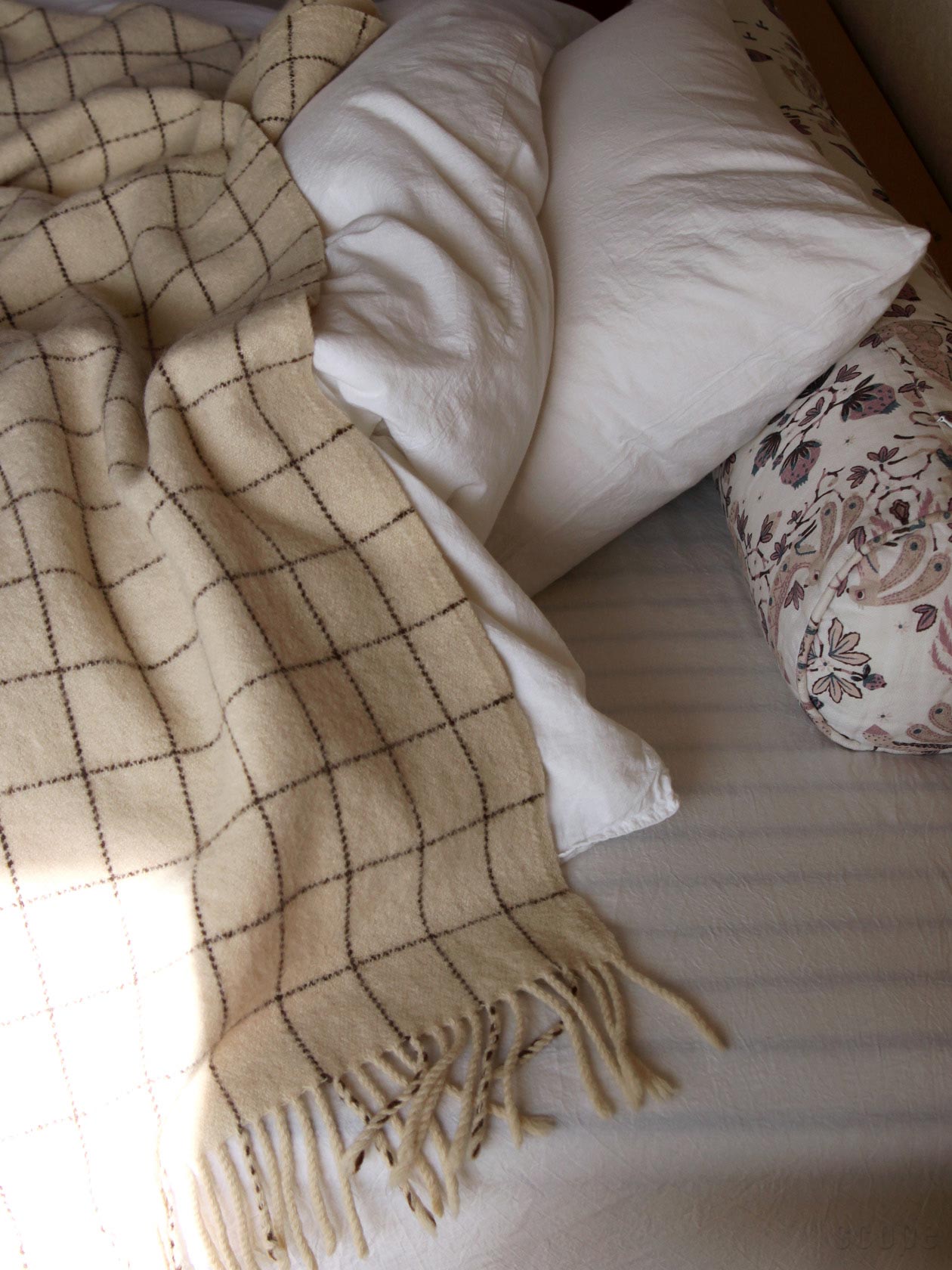 楽天市場】エコラ / ブランケット ダブル [ECOLA] : scope version.R