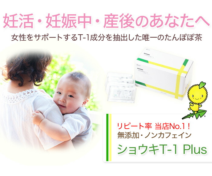 楽天市場】たんぽぽ茶 ショウキT-1プラス 30袋 たんぽぽ 徳潤 タンポポ