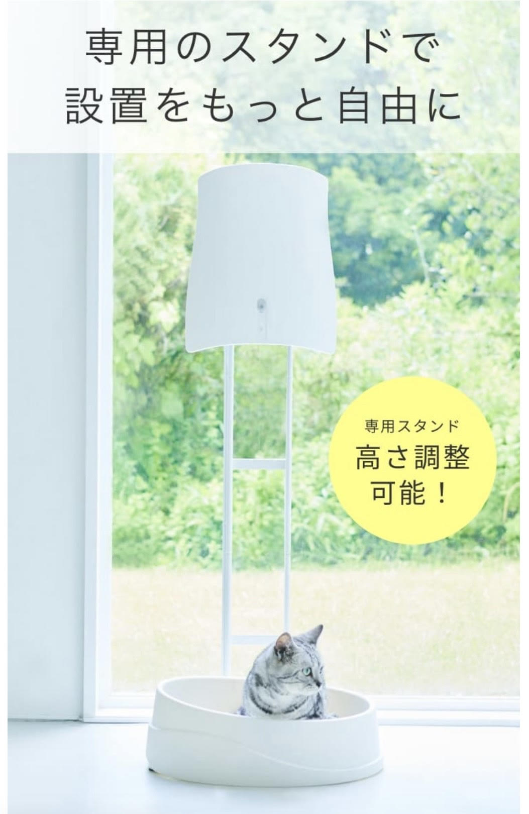 楽天市場】【SUNSTAR QAIS公認販売店】【専用スタンド＋2つ選べる特典