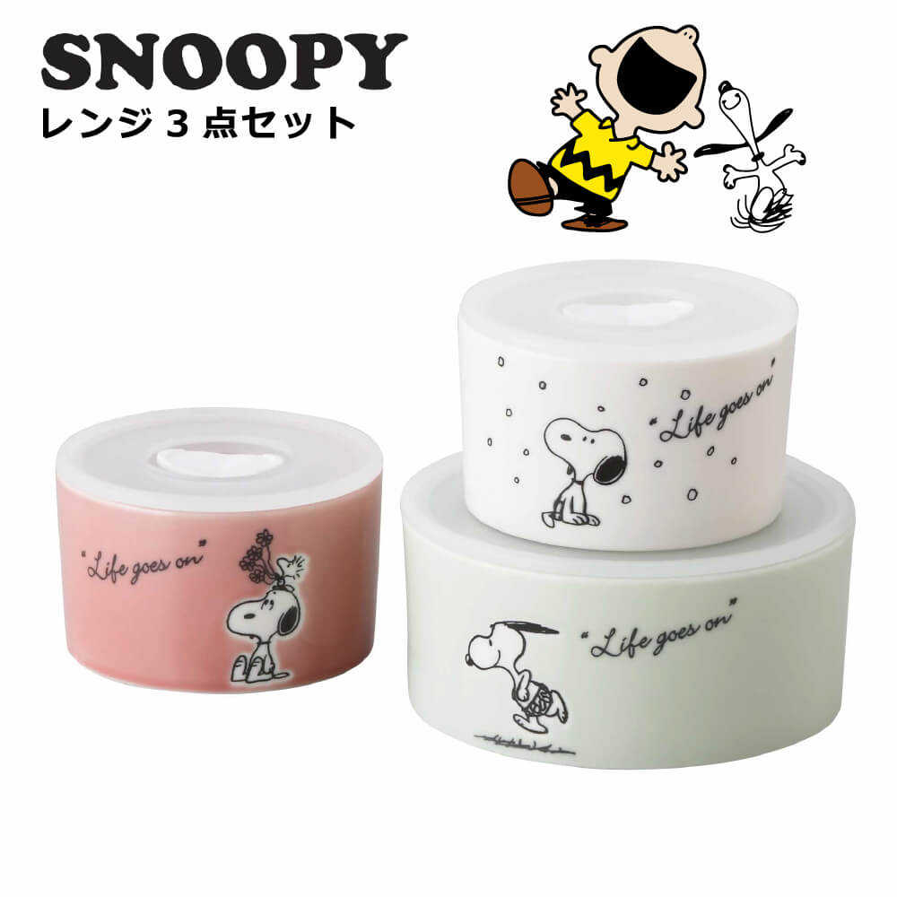 ｽﾇｰﾋﾟｰ ﾚﾝｼﾞ3点ｾｯﾄ | すべての商品（All items） | うつわのお店たたら