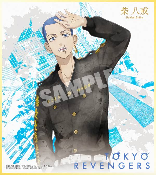 楽天市場】【10.エアームド】 ポケモン 色紙ART 2 : REALiZE トレカ