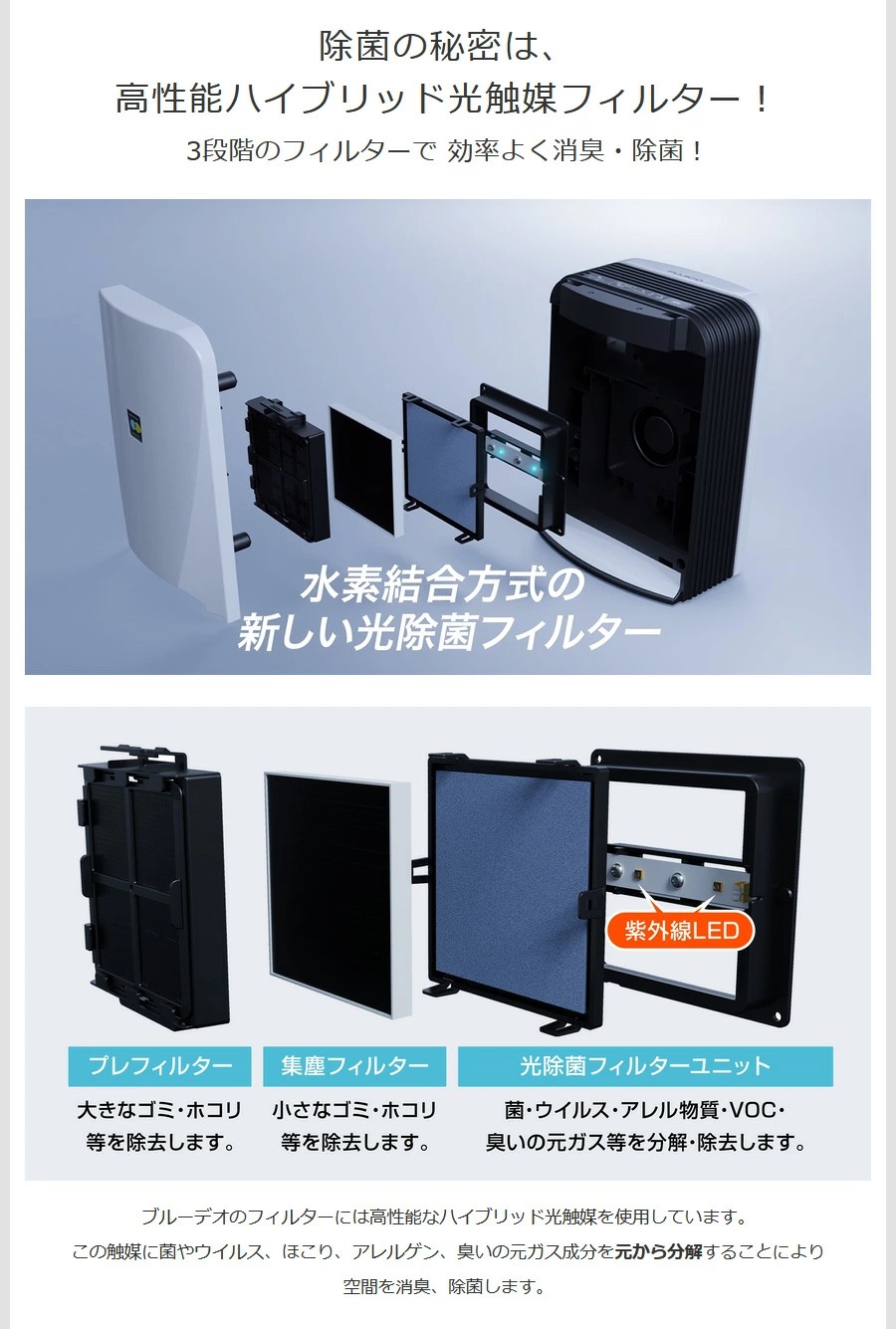 楽天市場】【楽天スーパーSALE】2025年 最新モデル FUJICO ブルーデオ