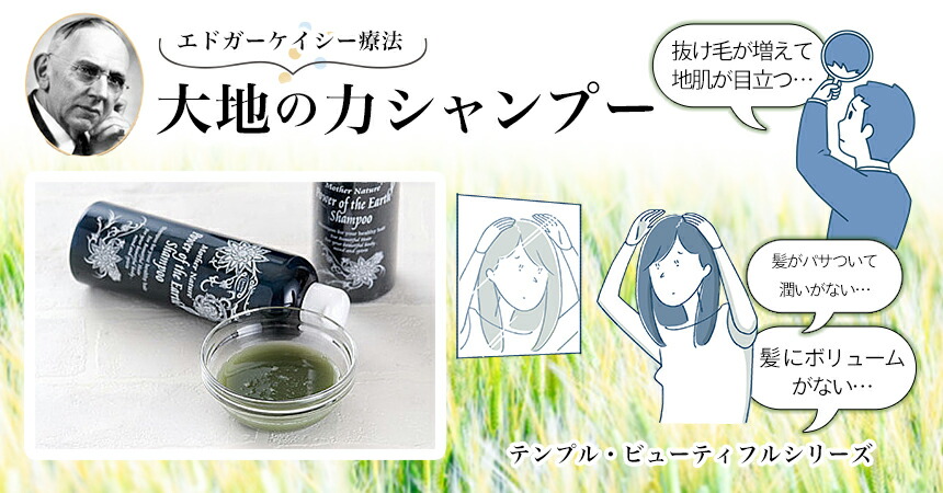 楽天市場】大地の力シャンプー(300ml)（テンプルビューティフル