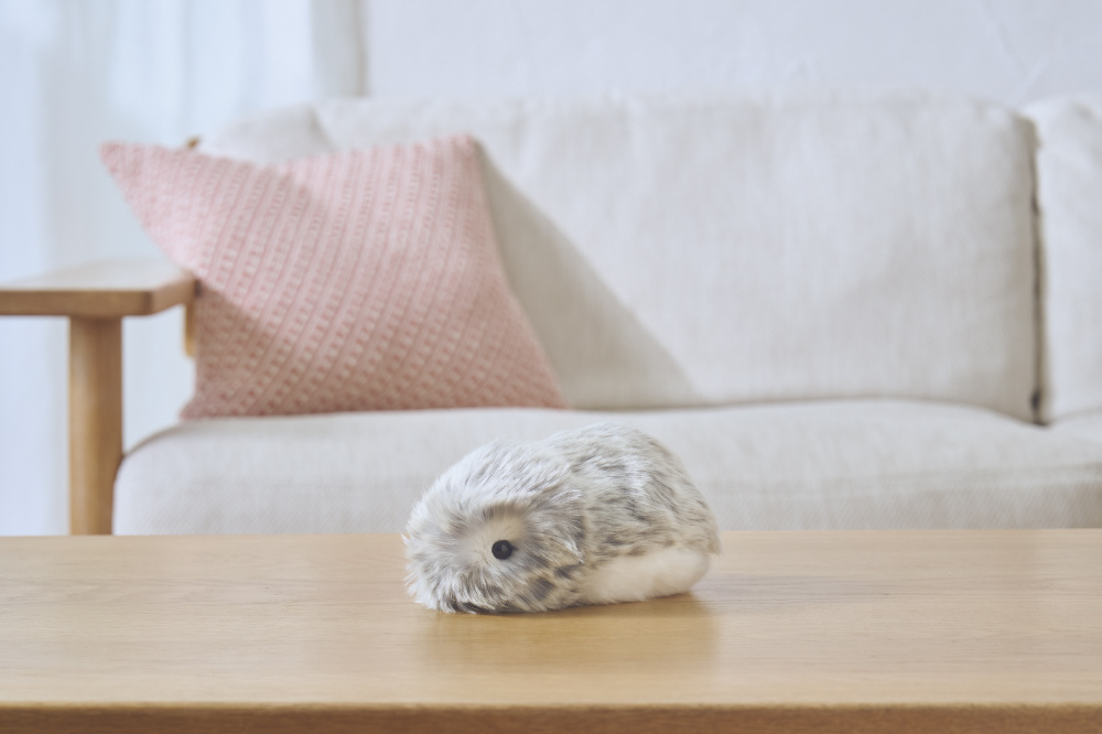 4549526501500_A19.jpg?v=20012201