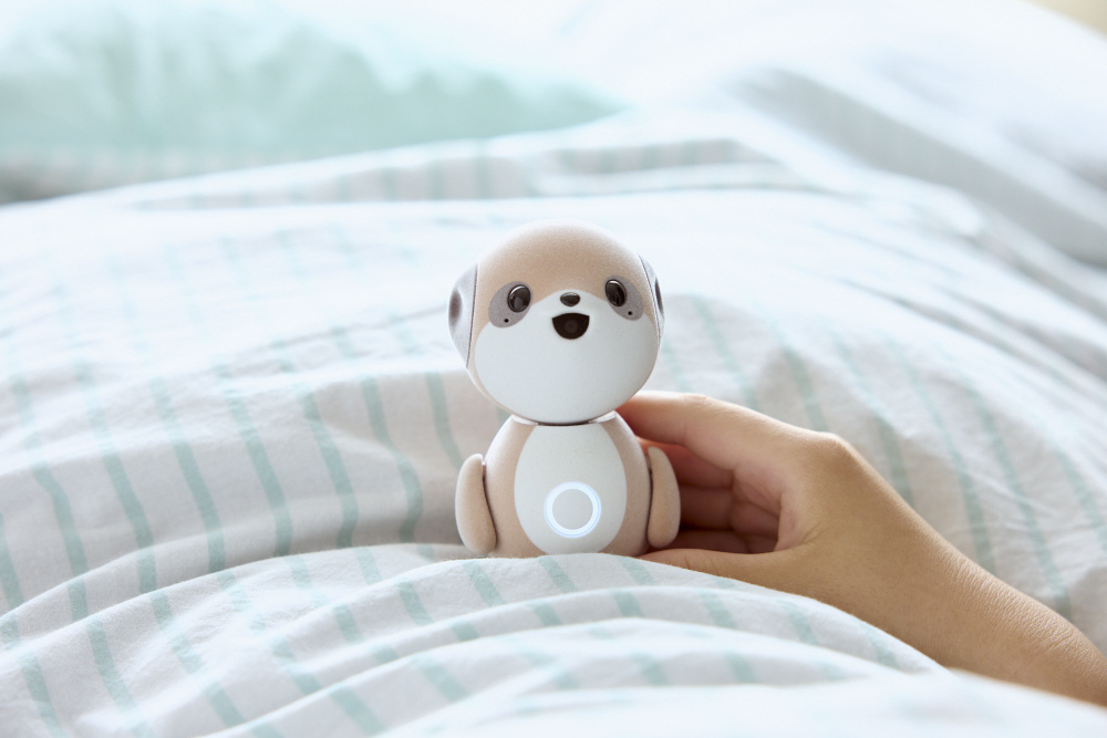 コンパニオンロボット ポケとも SR-C01M-W｜の通販はソフマップ[sofmap]