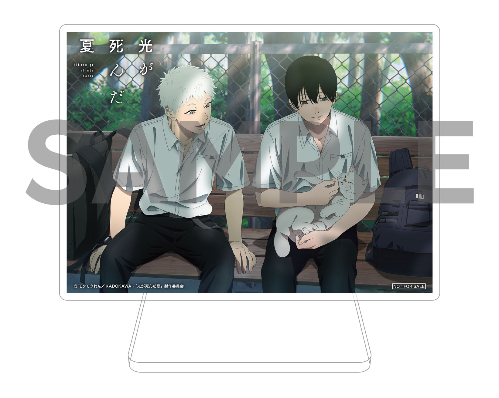 楽天ブックス: 【楽天ブックス限定全巻購入特典+先着特典】光が死んだ