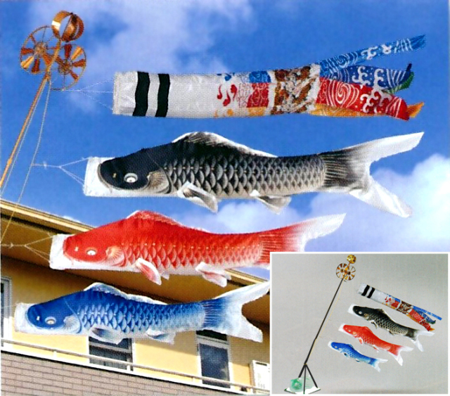 鯉のぼり,東旭,福島積美画,スーパースターゴールド,端午の節句,五月