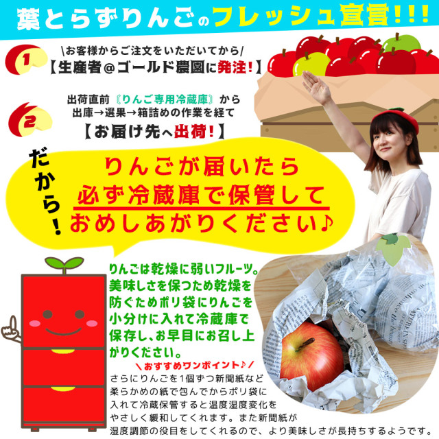 りんご の常識を変える☆葉とらず栽培 本場青森ゴールド農園 送料無料