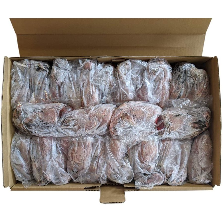 豊橋産 冷凍ウズラ 未処理 25羽1ケース 親ウズラ 猛禽類・爬虫類の餌に