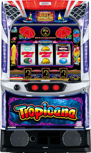 ミズホパチスロ実機一覧