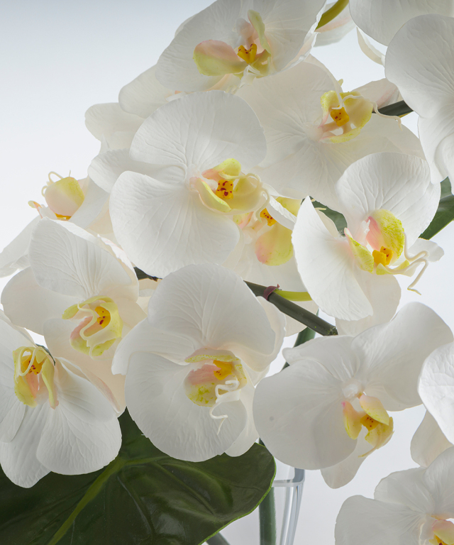 アーティフィシャルフラワー ファレノプシス4L 胡蝶蘭 高品質 ギフト