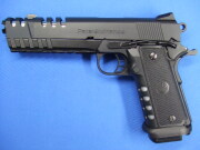 パラオーディナンス