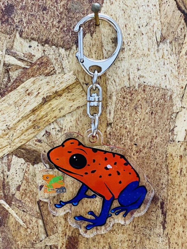 KawaZooオリジナル アクリルキーホルダー イチゴヤドクガエル