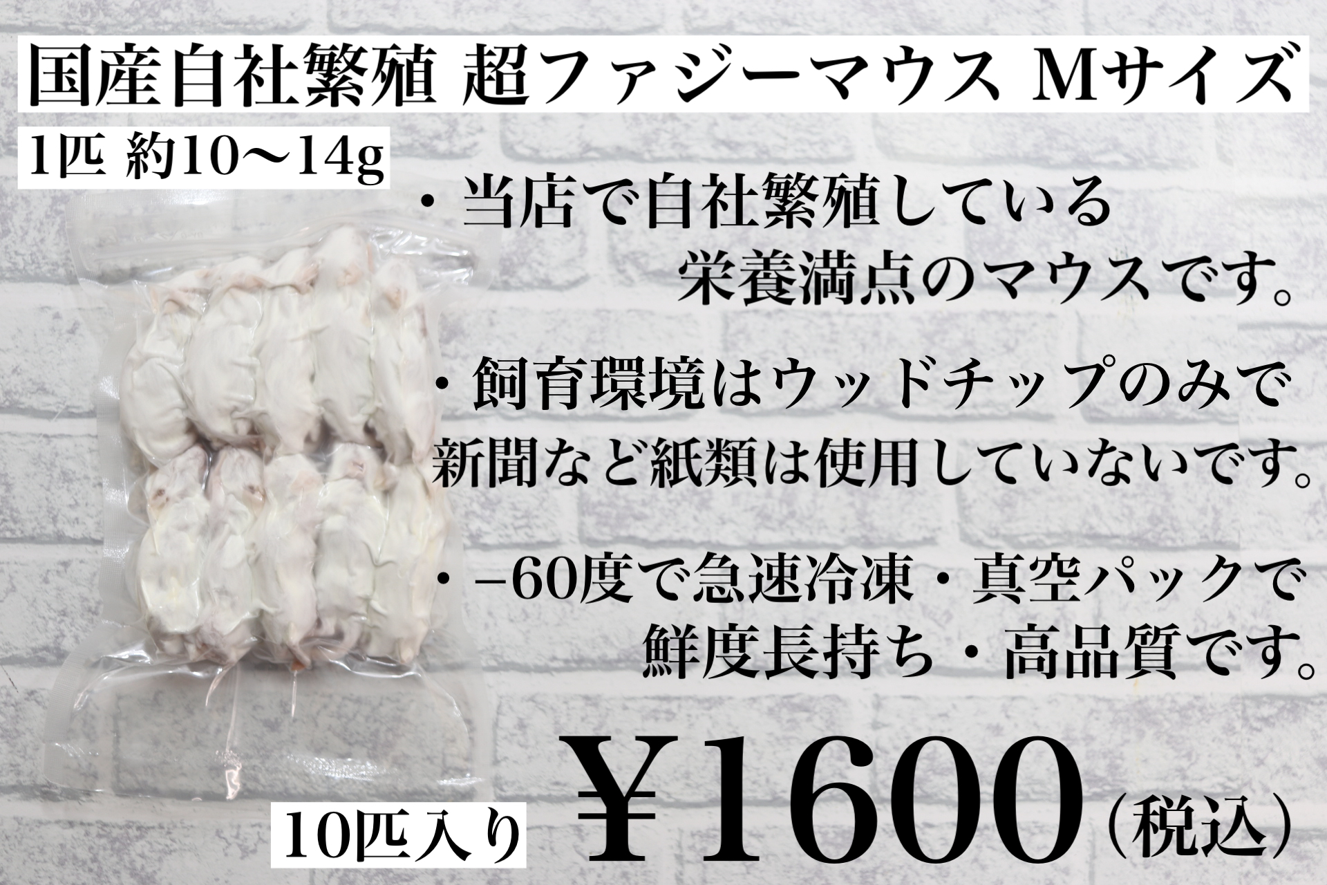 冷凍国産 ファジーマウスMサイズ 10匹入り