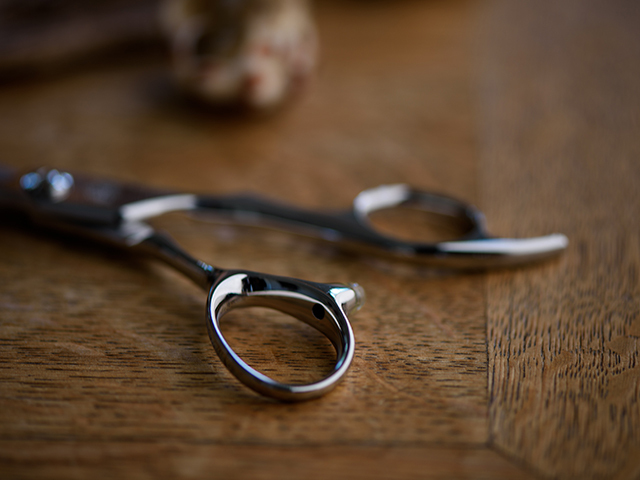 キングクラフトシザー パンドラ(Pandora) KNG-55F/58F/63F/68F (KING