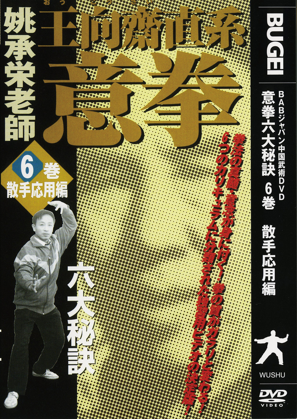 DVD6巻セット 『王向齋直系 意拳 六大秘訣』（通販限定）