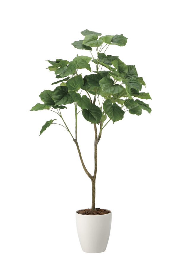 光触媒 光の楽園 フィカスウンベラータ1.35m【インテリア フェイク