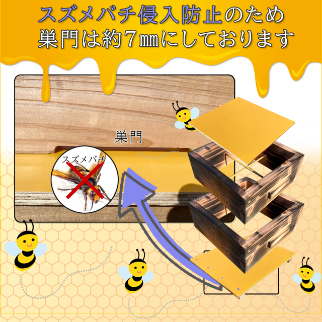 日本蜜蜂 巣箱 ニホンミツバチ 日本みつばち 重箱式巣箱 2段 送料無料
