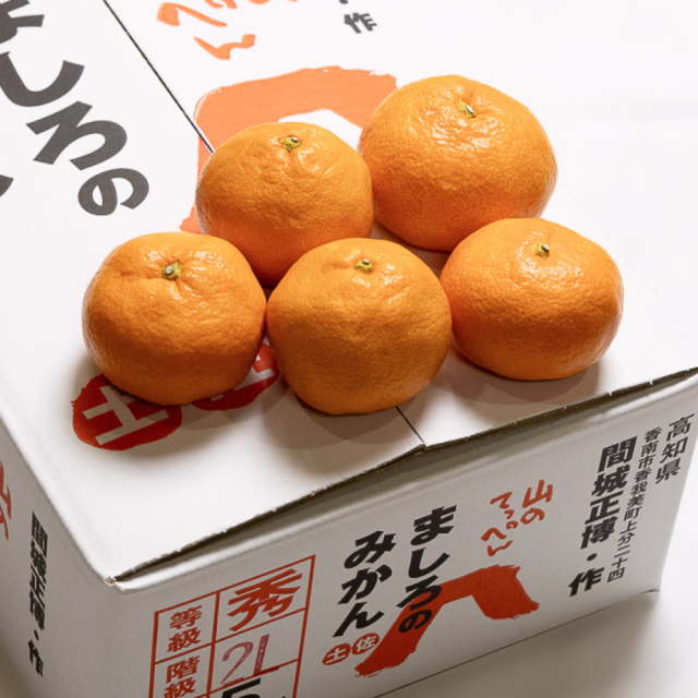 間城さんのみかん 2L・5kg | 高知県土佐町【すえひろ屋】