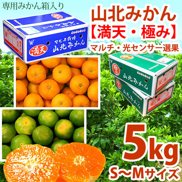 山北みかん・満天・極み・5kg・2S～M