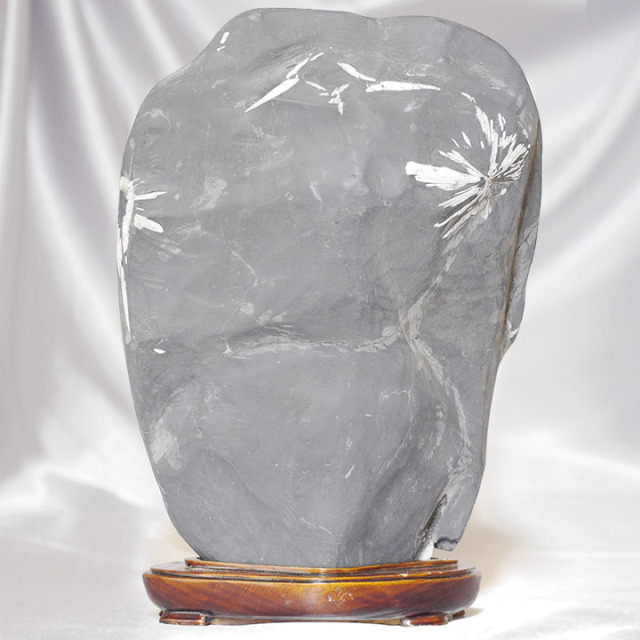 菊花石 No.263 【鑑賞用鉱石】 高さ:約22cm 幅:約14cm 重さ:約2.5kg