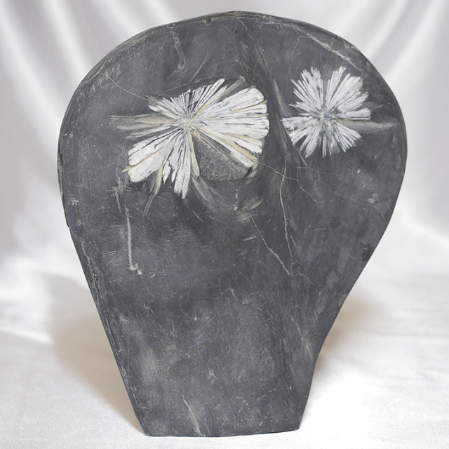 菊花石 No.281 【鑑賞用鉱石】高さ:約21cm 幅:約19cm 重さ:約3.3kg