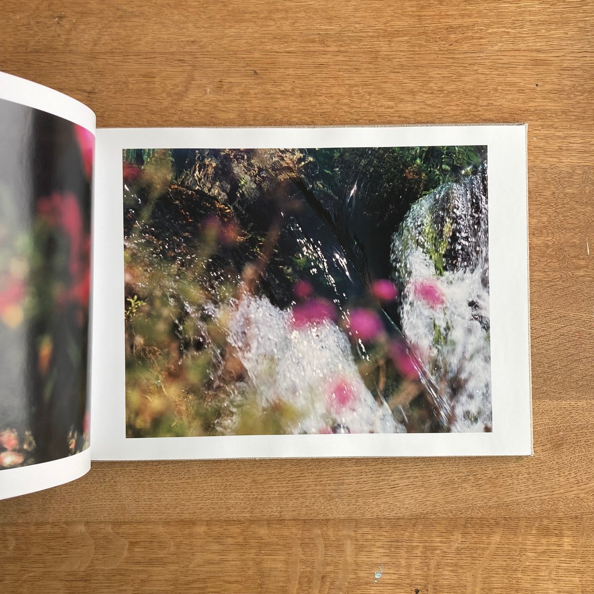 鈴木理策｜知覚の感光板 | WHITEGREEN GALLERY