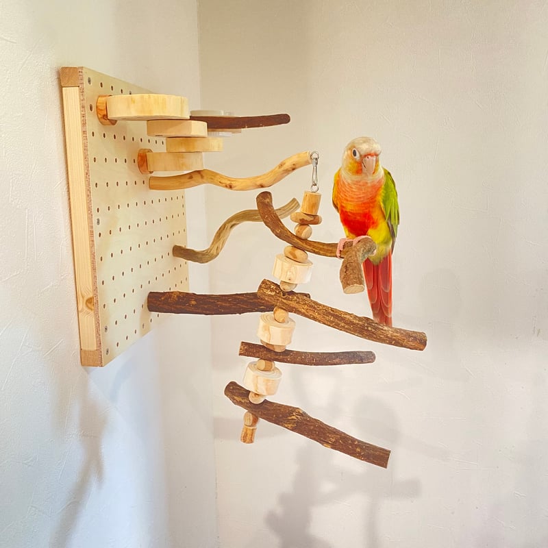 自由にカスタム 壁掛けバードアスレチック【B】【インコのおもちゃ